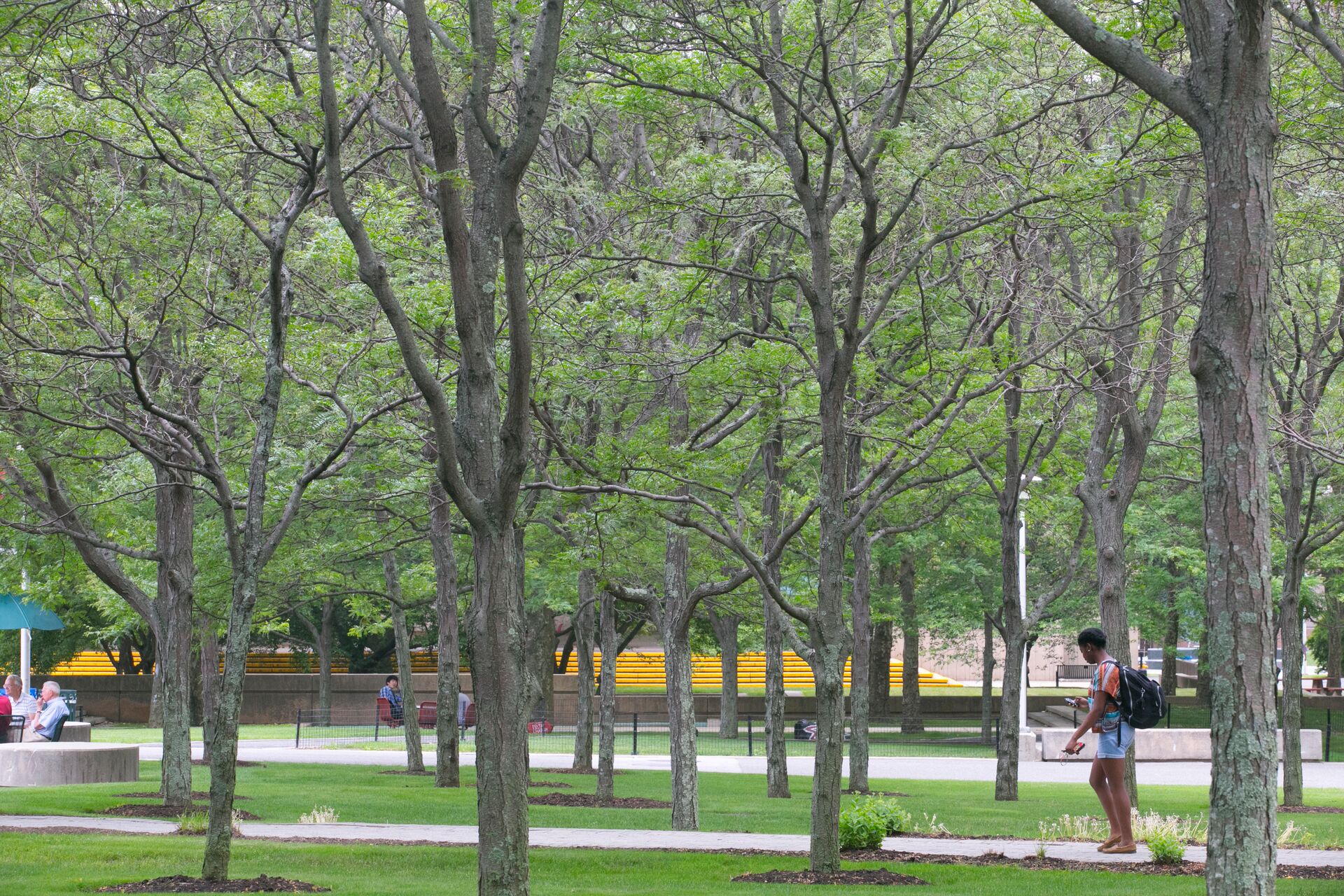 News and Notices Facilities & Services